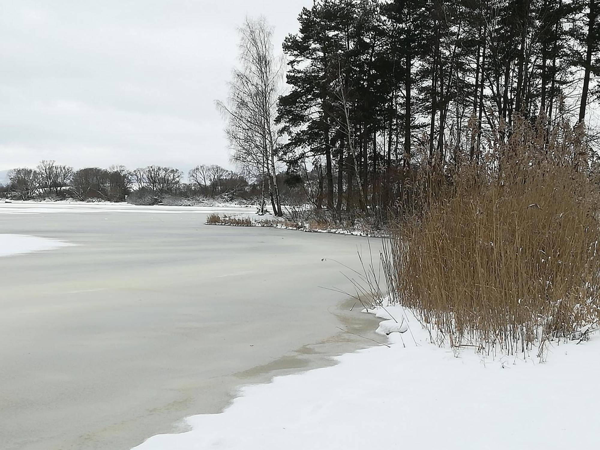 Apartmány LIPNOczech Frymburk Exteriér fotografie