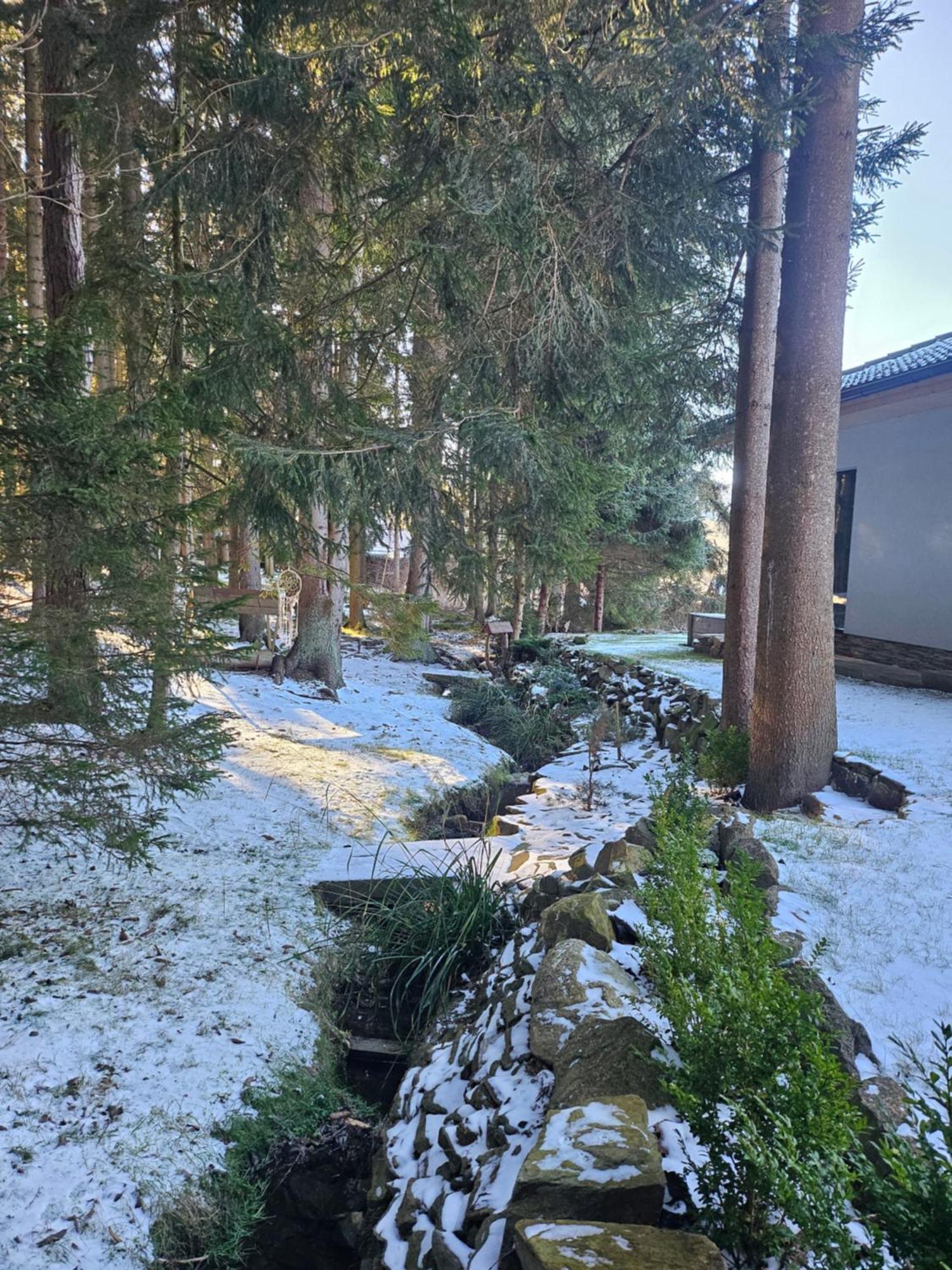 Apartmány LIPNOczech Frymburk Exteriér fotografie